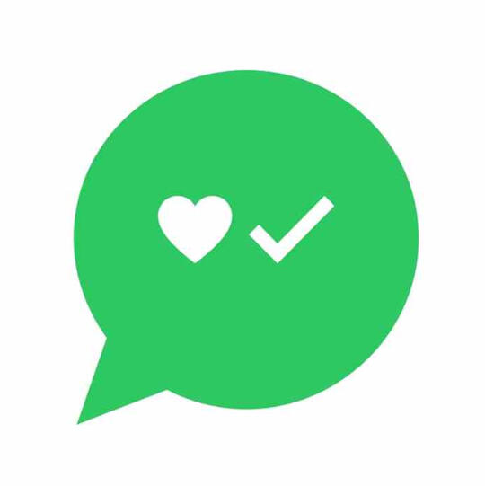 JeevanKey-WhatsApp-chat-bubble-with-heart Flat icon illustration, a WhatsApp chat bubble containing a small heart and a checkmark, clean minimal style, brand green colour, white background. No text in image.